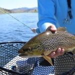 Brown trout fly fishing is available for guests at Melfort Village near Oban in Scotland