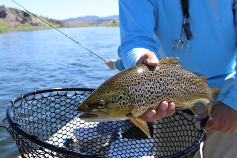 Brown trout fly fishing is available for guests at Melfort Village near Oban in Scotland