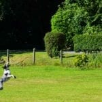 Melfort Village is pet friendly and we have a secure paddock area for dogs to play in off the lead. Book your dog friendly holiday cottage in Scotland today.