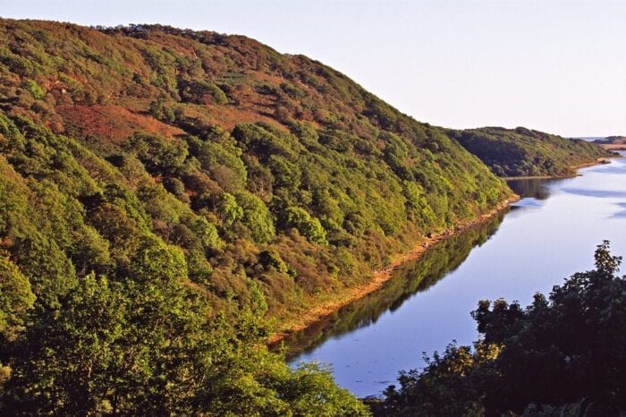 Taynish Nature Reserve