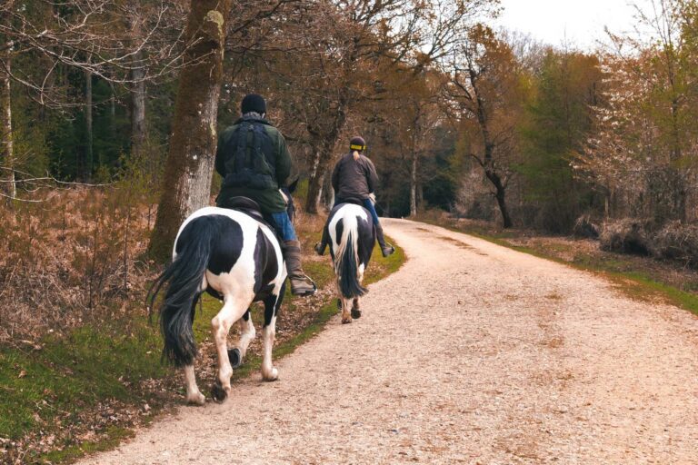 Go horseriding through the autumn countryside around Melfort Village near Oban