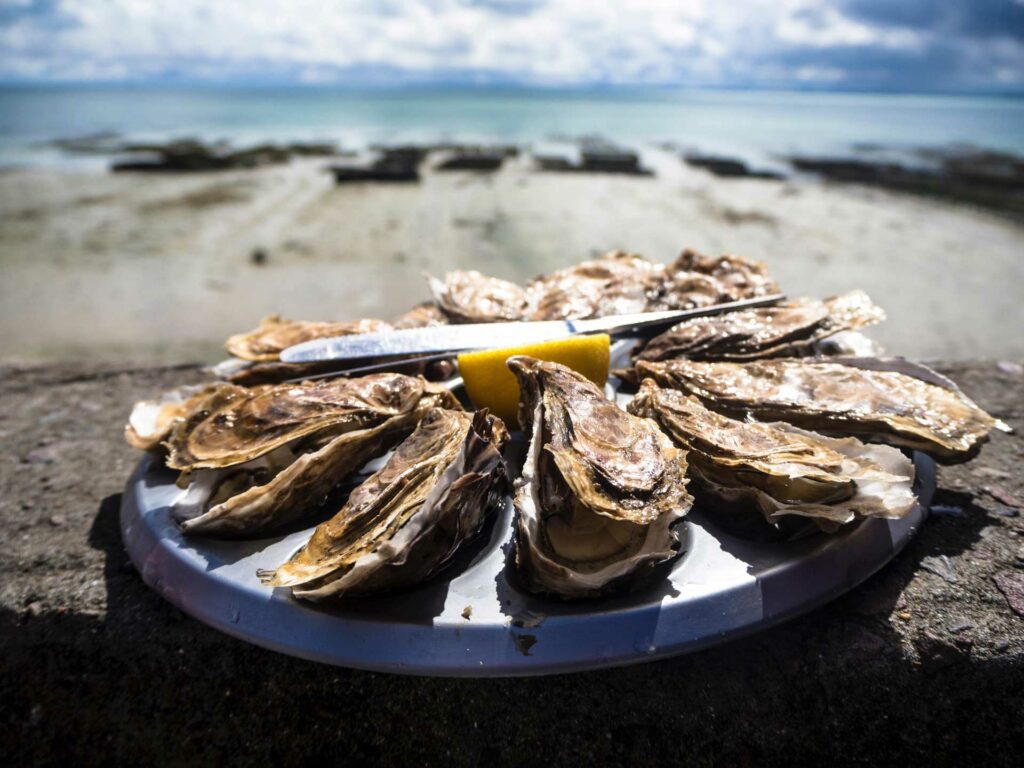 Fresh shellfish from Scotland's West Coast Waters